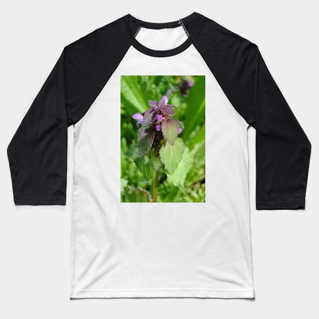 Dead Nettle Baseball T-Shirt by AH64D